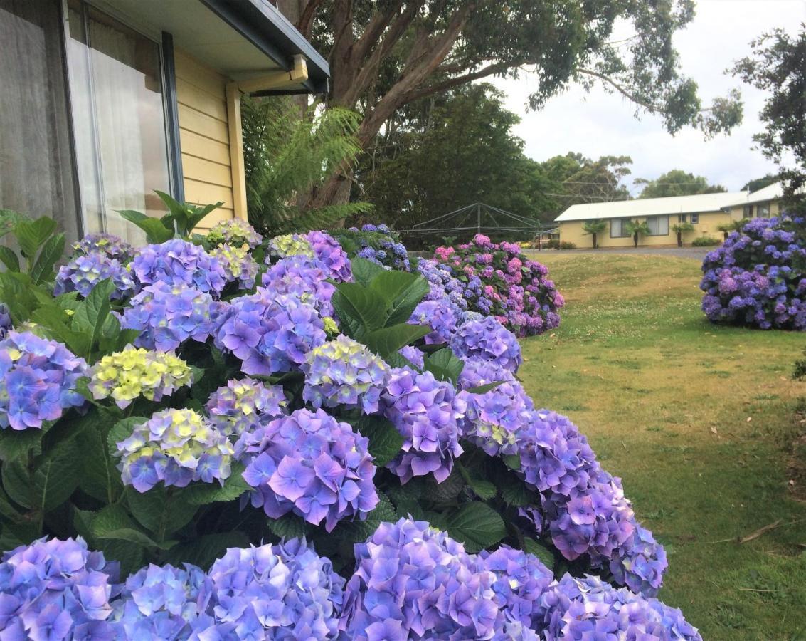 Marsden Court Apartments Now Incorporating Marsden Court And Sharonlee Strahan Villas Bagian luar foto